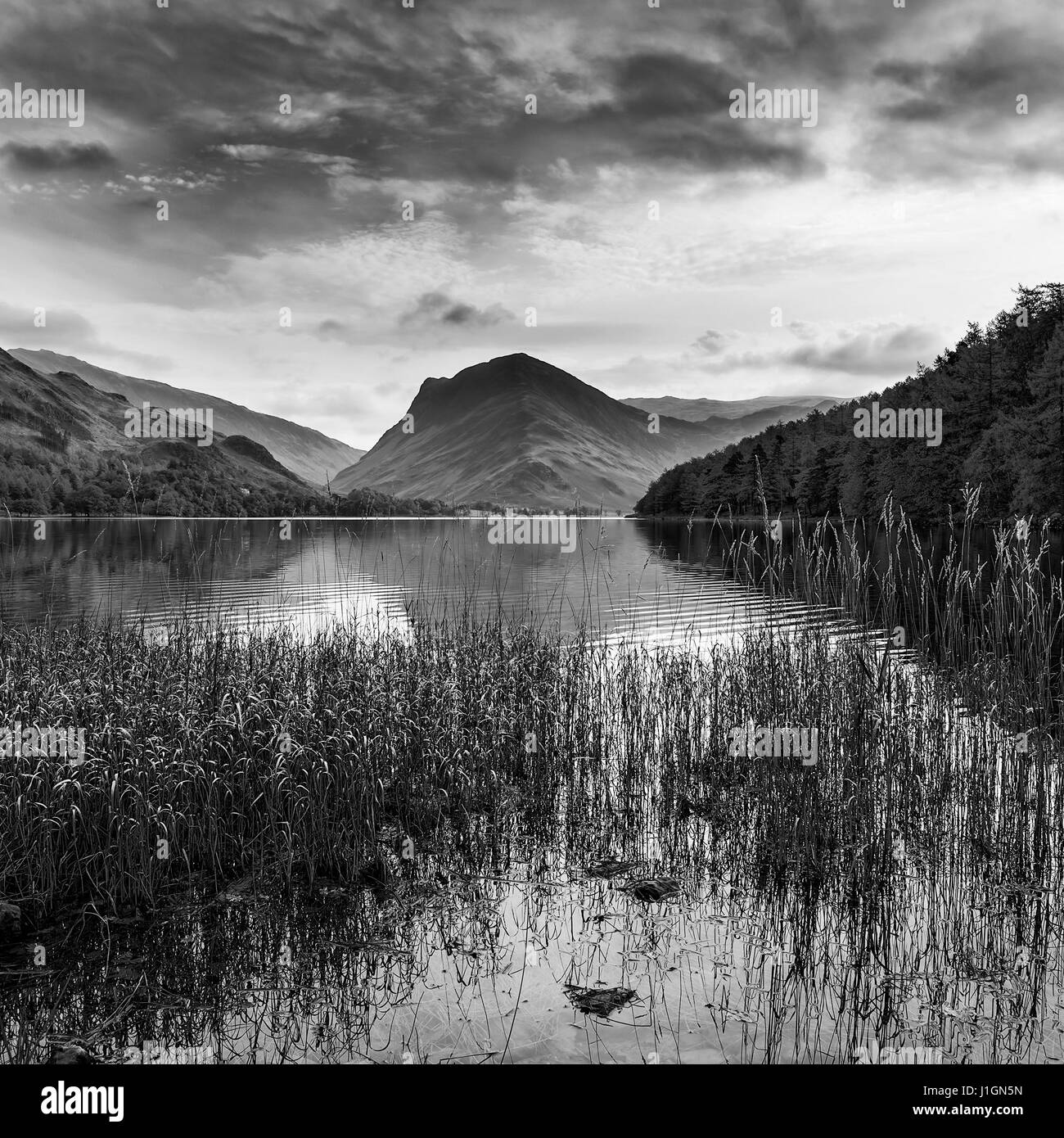 Bel Automne Automne image paysage du lac Buttermere Lake District en Angleterre Banque D'Images