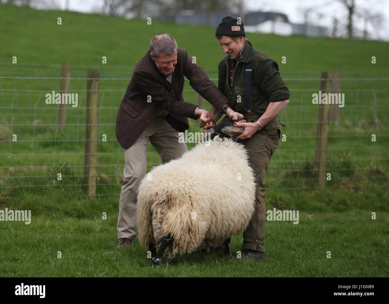 Leader des libéraux démocrates écossais Willie Rennie, agriculteur avec Stuart McDougall, est illustré d'un bélier au cours d'une visite à Mill House farm dans Kelty, Fife, comme il a fait campagne dans les élections locales écossaises. Banque D'Images