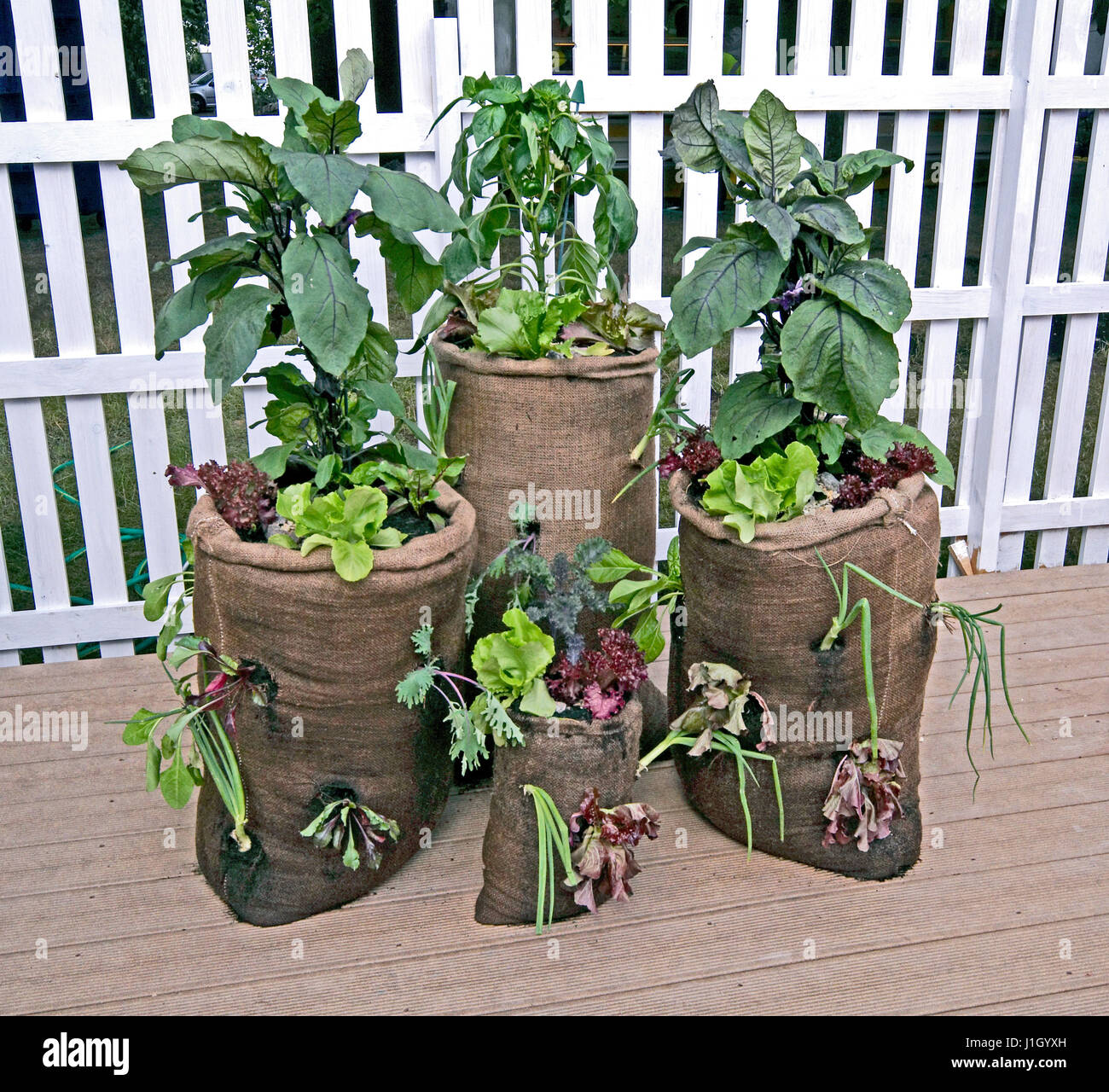 Concept 'jardinage cultiver votre propre' et enregistrez l'environnement Banque D'Images