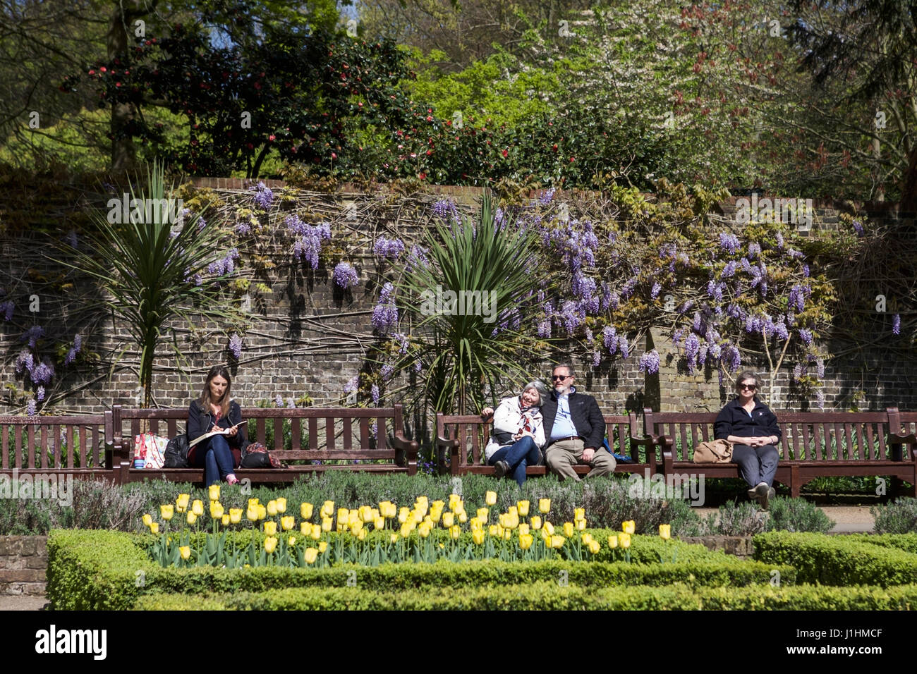 Holland Park, Londres, Angleterre, Royaume-Uni. Les gens qui profitent du soleil de printemps et du jardin de printemps. Social distancer le Royaume-Uni. Banque D'Images