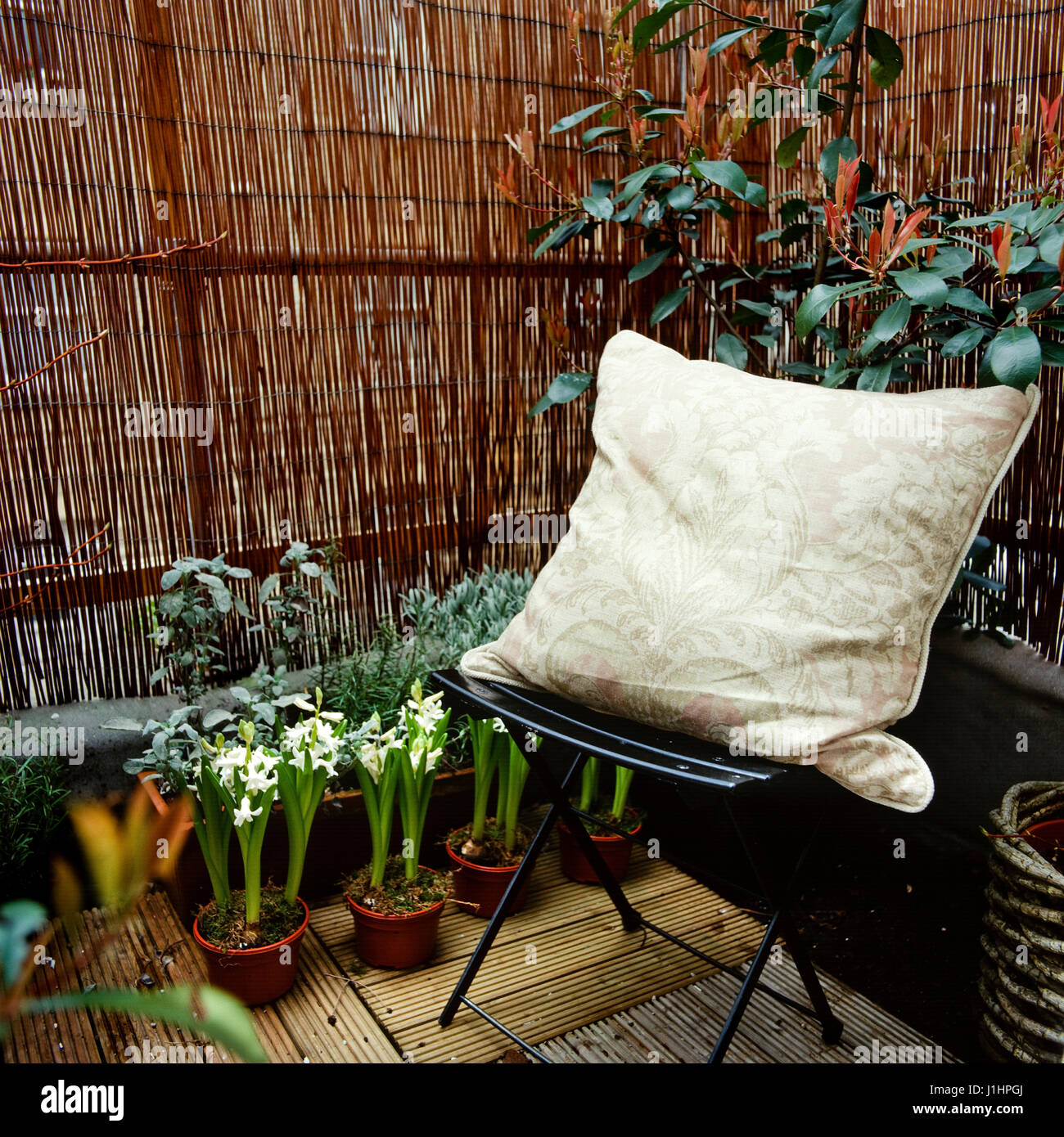Coussin sur une chaise dans la cour. Banque D'Images