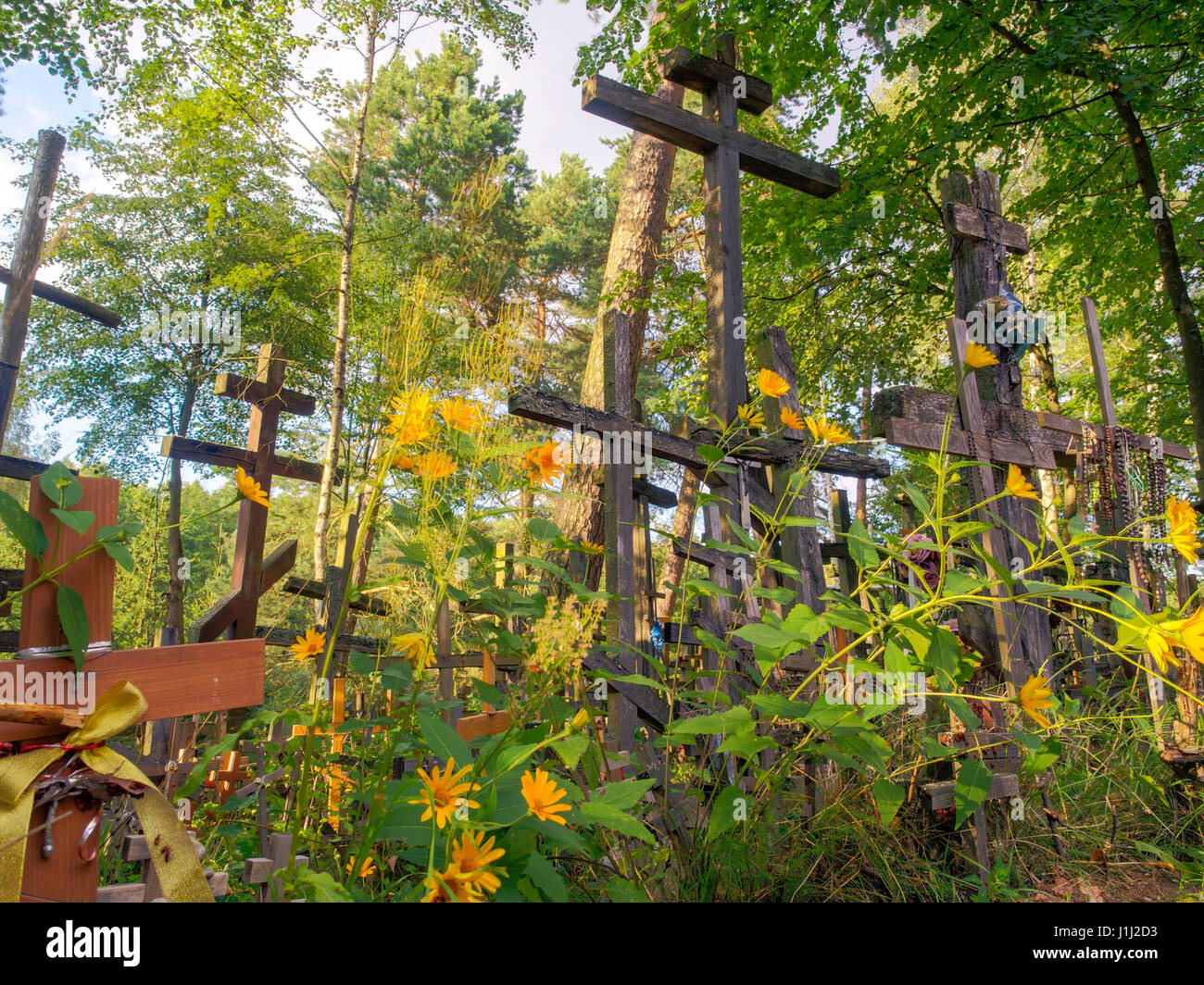 Grabarka, Pologne - 14 août 2016 : Holly traverse portées par les pèlerins pour le Mont Grabarka. Banque D'Images