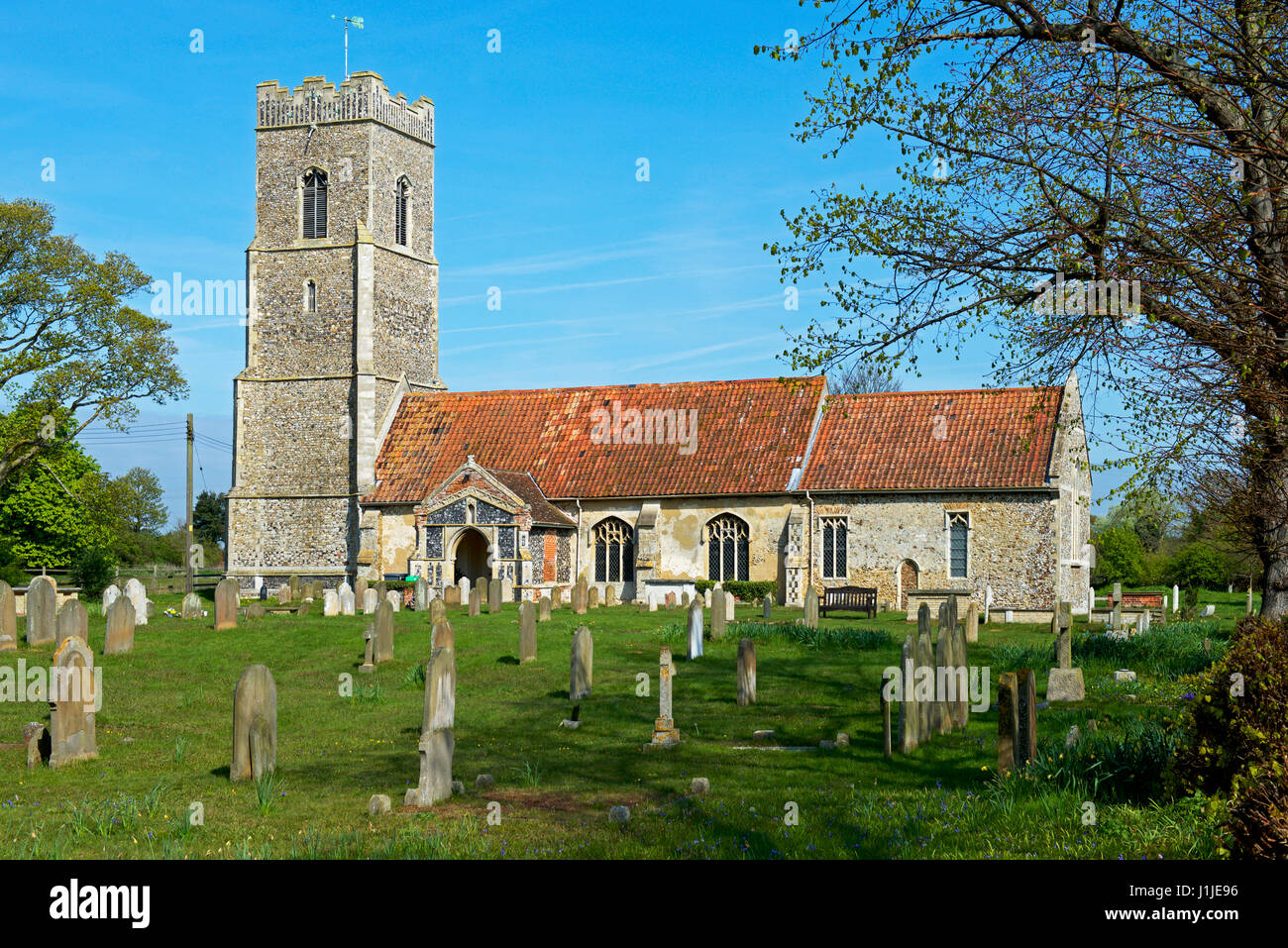L'église de St Jean le Baptiste, Rogue, Suffolk, Angleterre, Royaume-Uni Banque D'Images