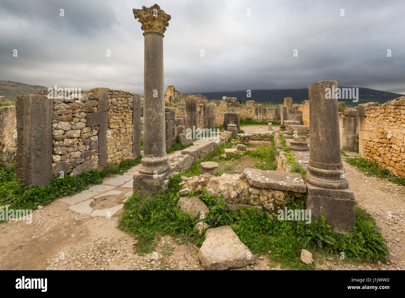 Fouilles de la ville romaine dans l'archéologique de Volubilis, au Maroc. Banque D'Images