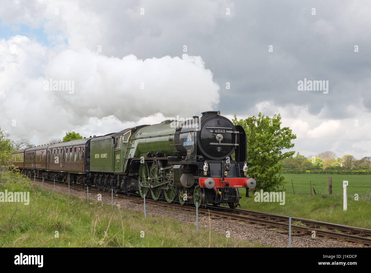 Peterborough (Cambridgeshire, Royaume-Uni. 22 avr, 2017. Quelques jours seulement après être devenu la première locomotive à vapeur pour atteindre 100mph en 50 ans, une classe de poivre1 'Tornado' rend visite au Nene Valley Railway. Crédit : Andrew Plummer/Alamy Live News Banque D'Images