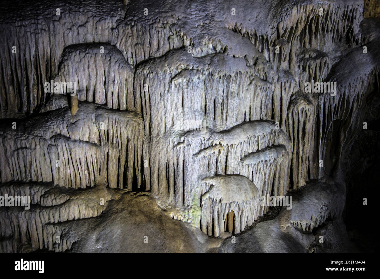 Flowstone / draperies grotte, les dépôts de calcite dans les grottes de Han-sur-Lesse / Grottes de Han, Ardennes Belges, Belgique Banque D'Images