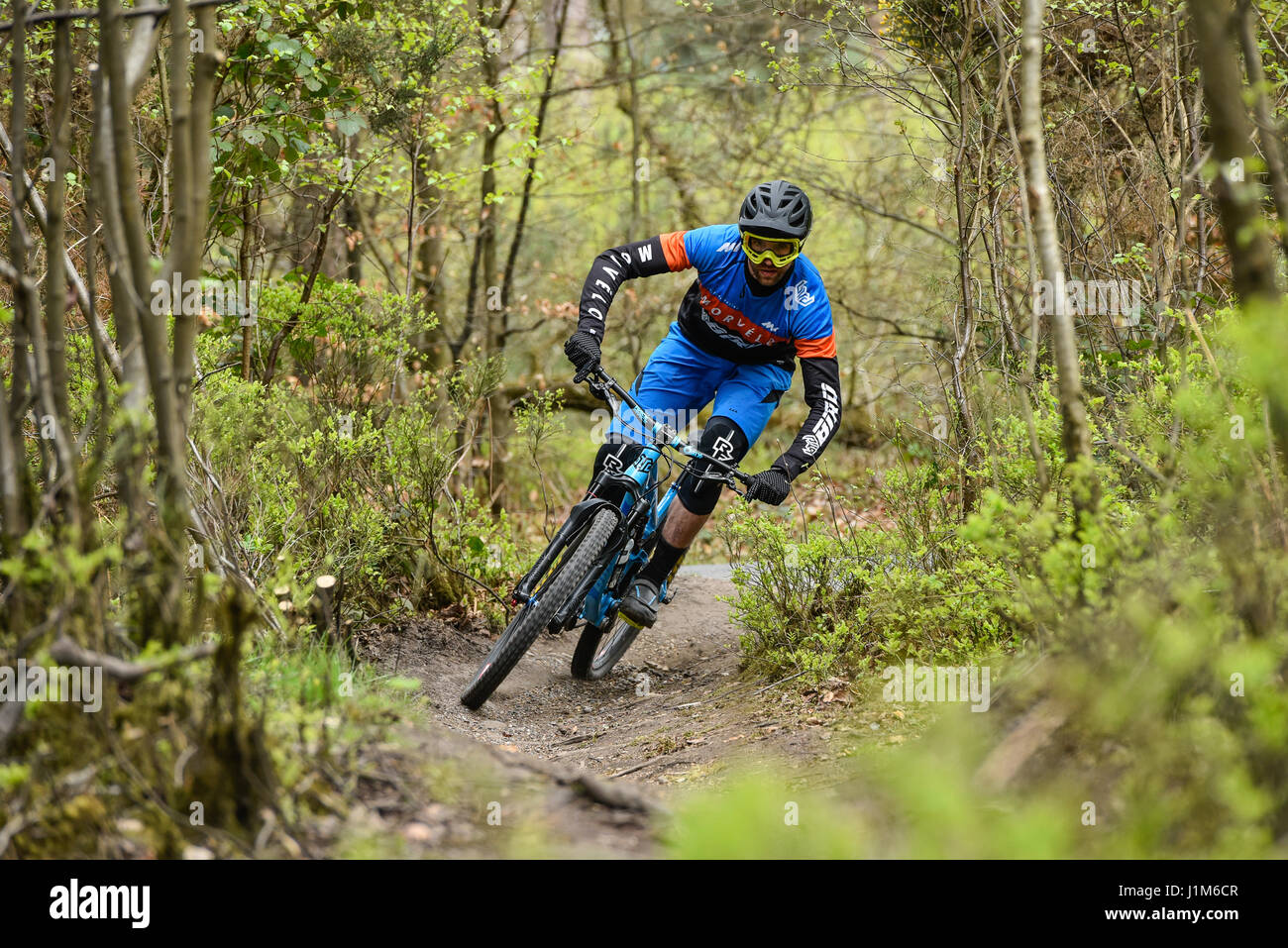 Vtt à Surrey Hills - photo d'action Banque D'Images