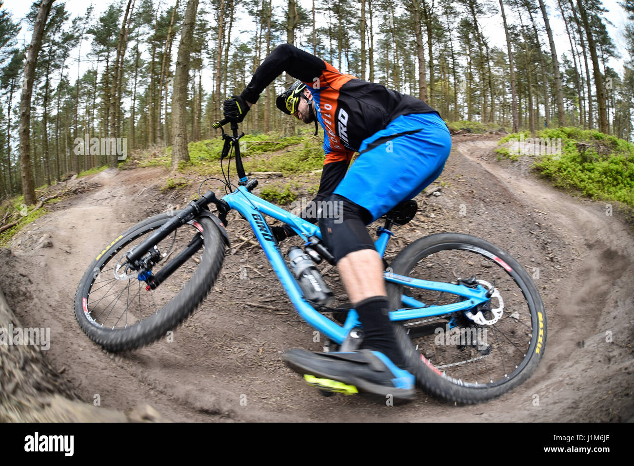 Vtt à Surrey Hills - photo d'action Banque D'Images