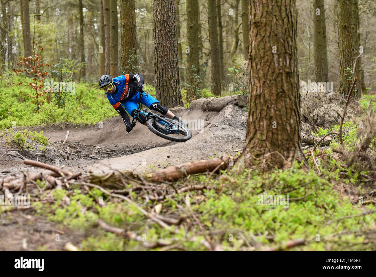 Vtt à Surrey Hills - photo d'action Banque D'Images