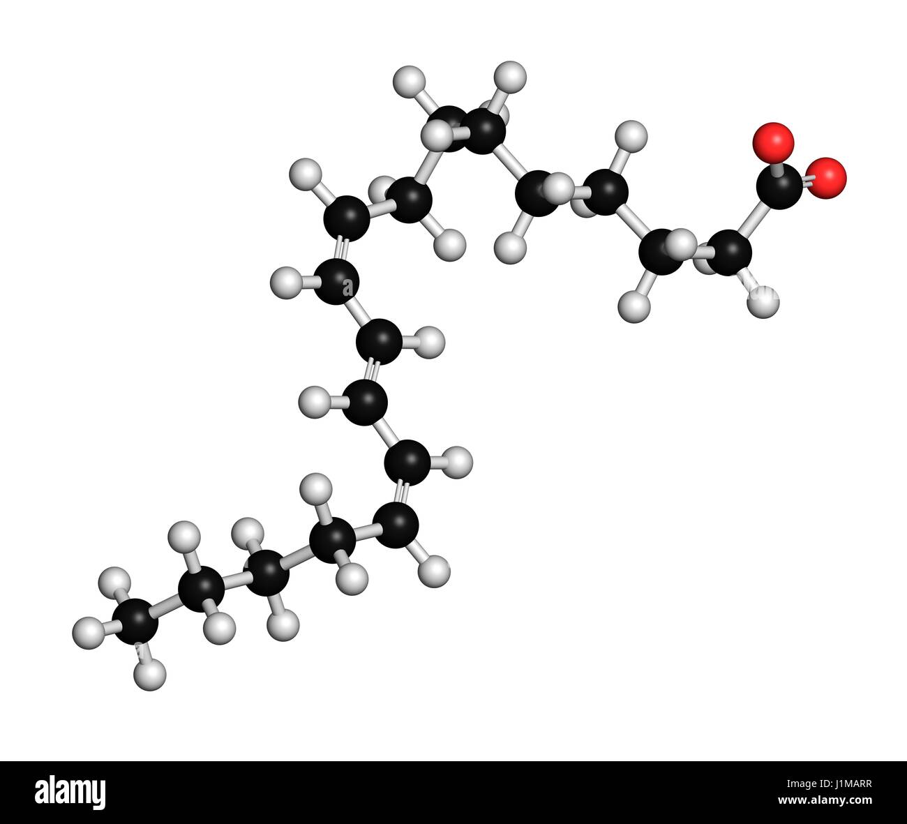 Punicic trichosanic acide (acide) molécule. L'acide gras présent dans la région de grenadier (Punica granatum). Le rendu 3D. Les atomes sont représentés comme des sphères classiques avec codage couleur : blanc (hydrogène), carbone (noir), l'oxygène (rouge). Banque D'Images