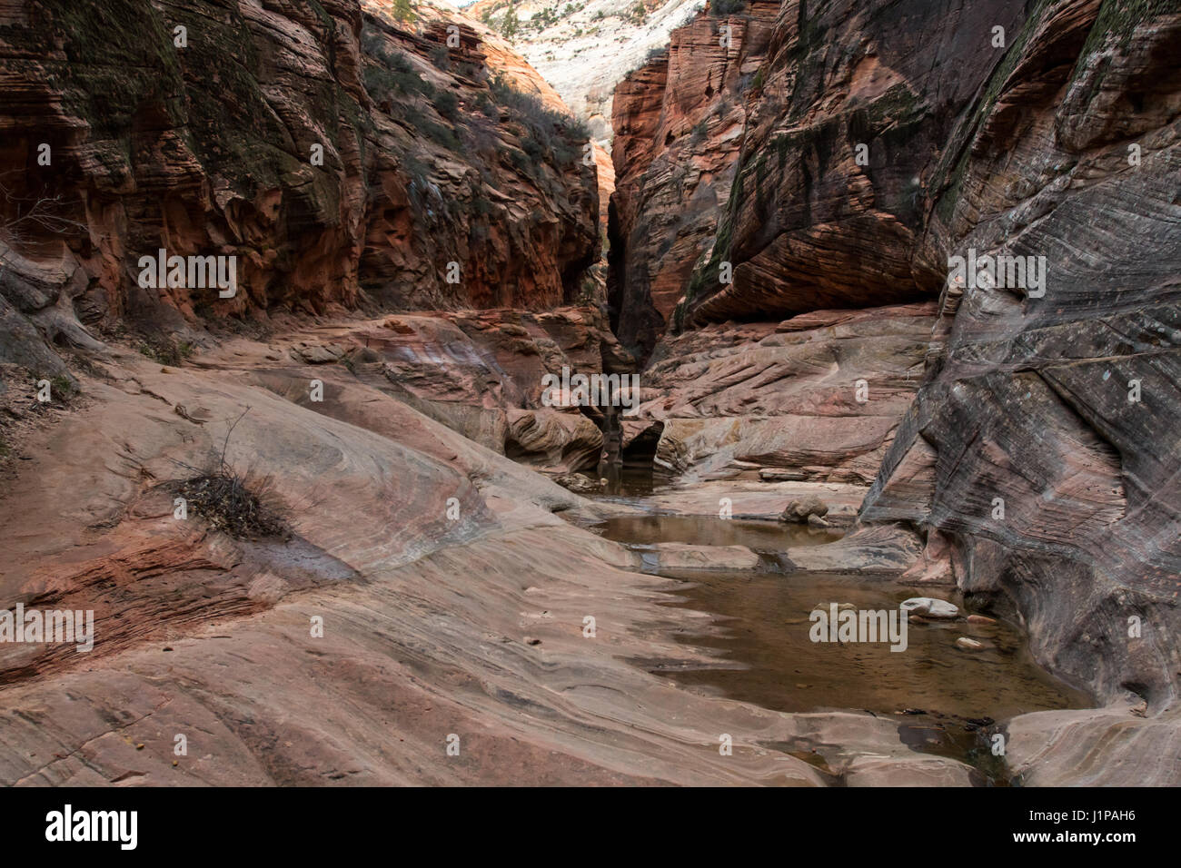 Les eaux calmes dans Echo Canyon Randonnée le long de point d'observation Banque D'Images