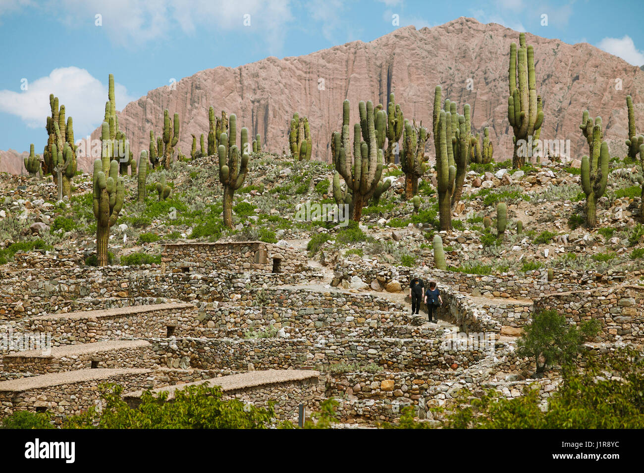 Pucará de Ticara, Humahuaca, Jujuy Canyon Province, Turkey Banque D'Images