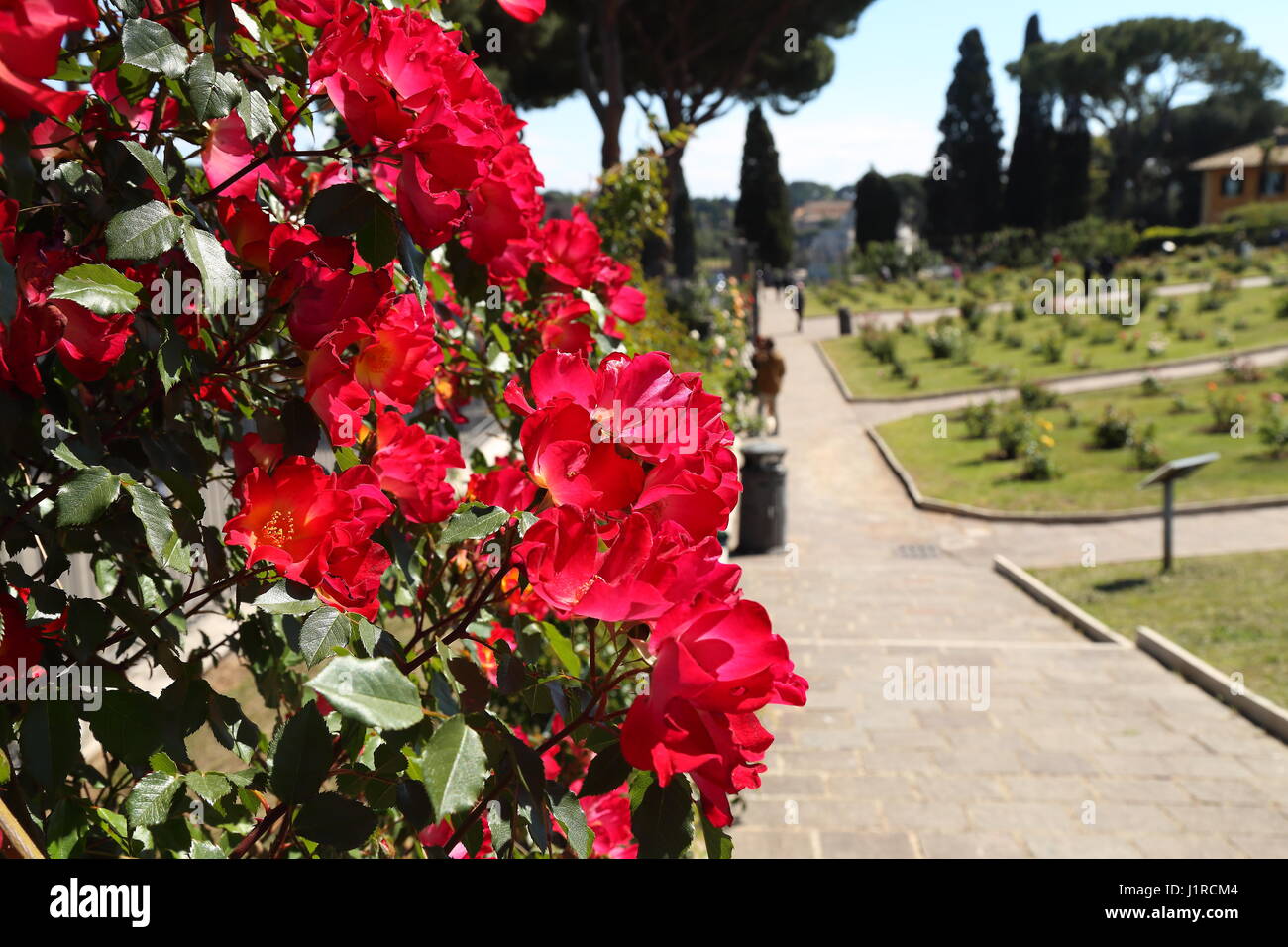 Au cours de l'anniversaire de la fondation de Rome, a ouvert au public la Rocca Comunale (Photo par : Matteo Nardone/Pacific Press) Banque D'Images