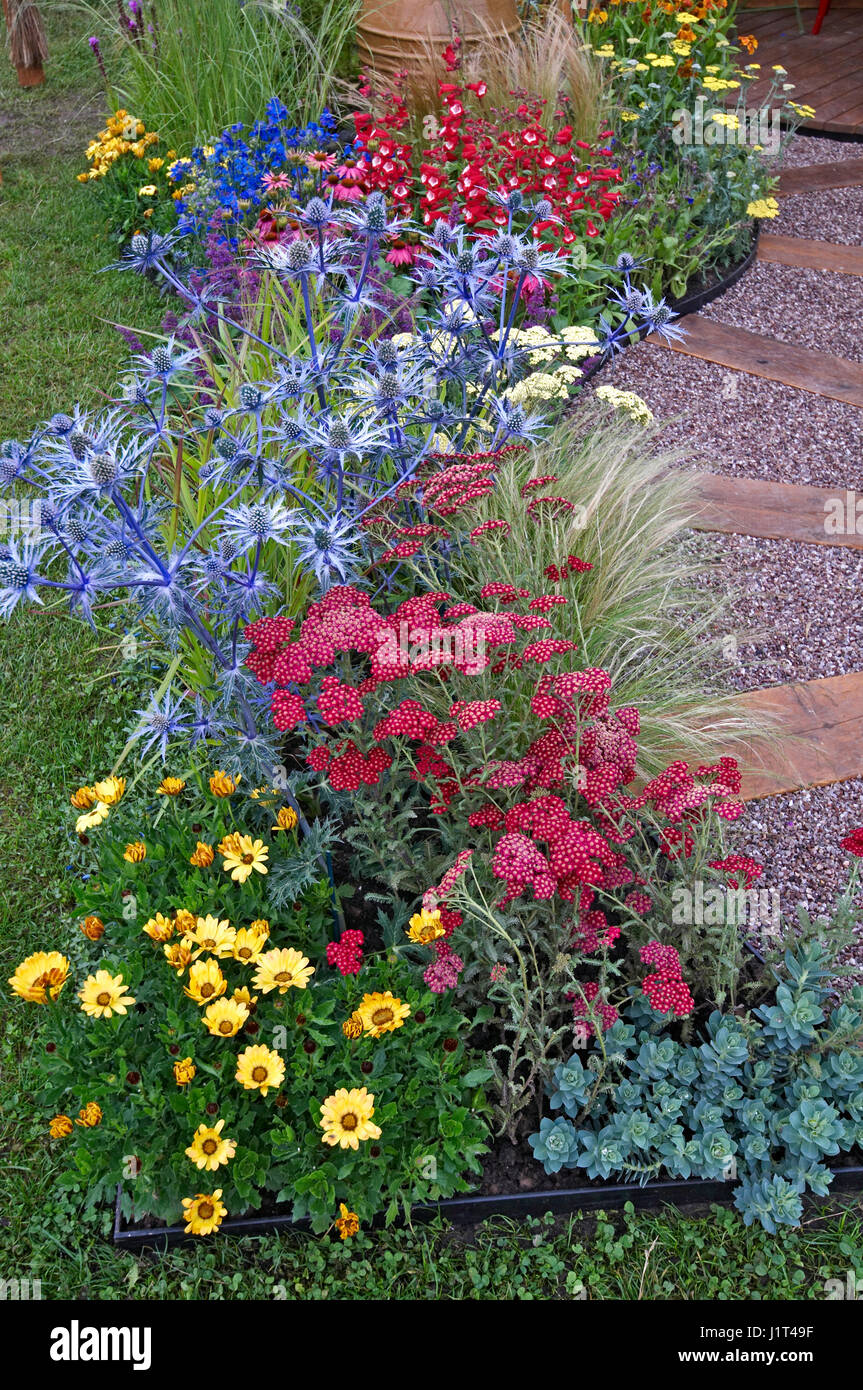 Une bordure de fleurs colorées avec une gamme de couleurs lumineuses Banque D'Images