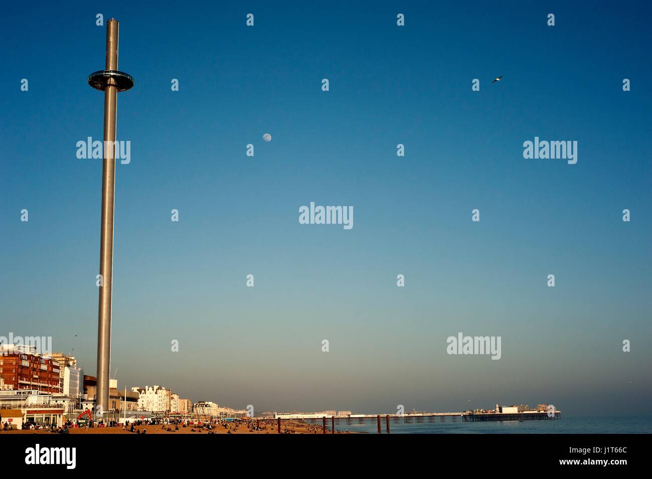 Brighton's i360, le plus haut du monde déménagement tour d'observation, ouvert en 2016 offre aux visiteurs 360 degrés sur la côte du Sussex en Angleterre. Banque D'Images