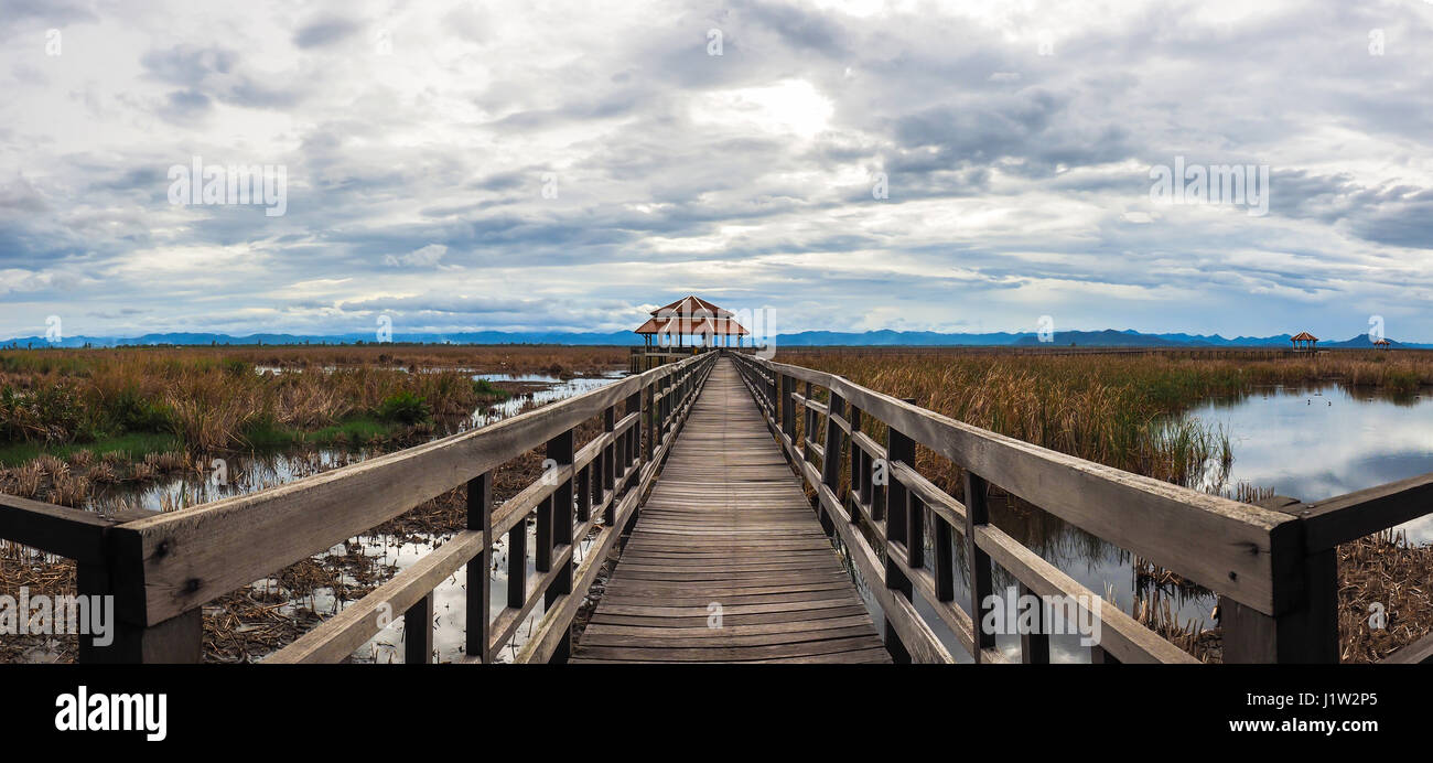 Panorama du pont de bois à travers marais, le Parc National de Sam Roi Yot, Thaïlande Prachuap Khiri Khan Banque D'Images