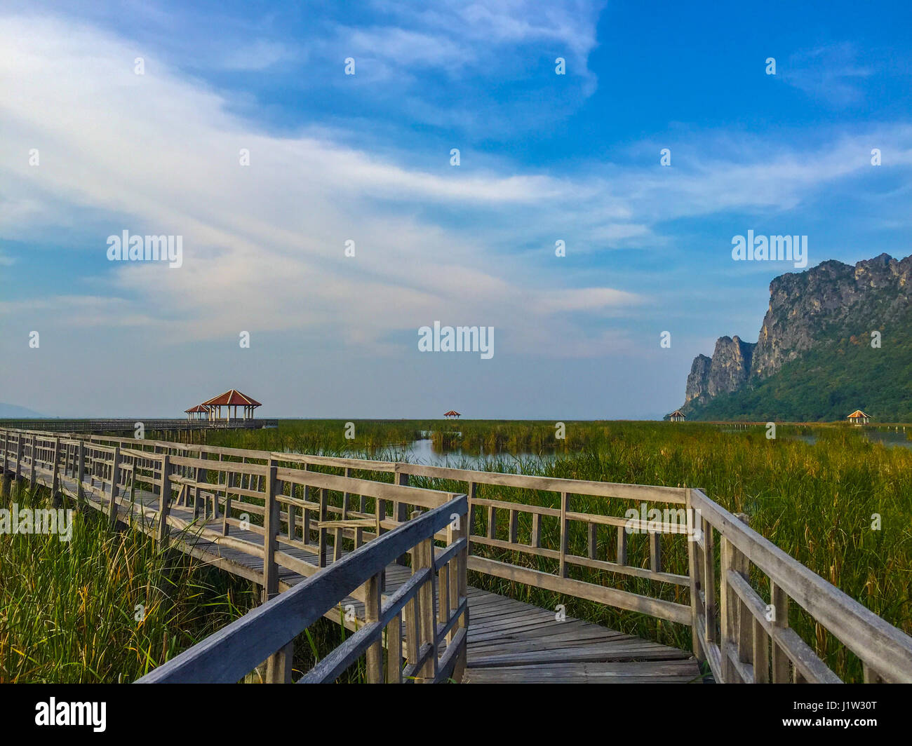 Beau paysage avec pont en bois, les champs et les montagnes, Bueng Bua à Sam Roi Yot National Park, Prachuap Khiri Khan, Thaïlande Banque D'Images