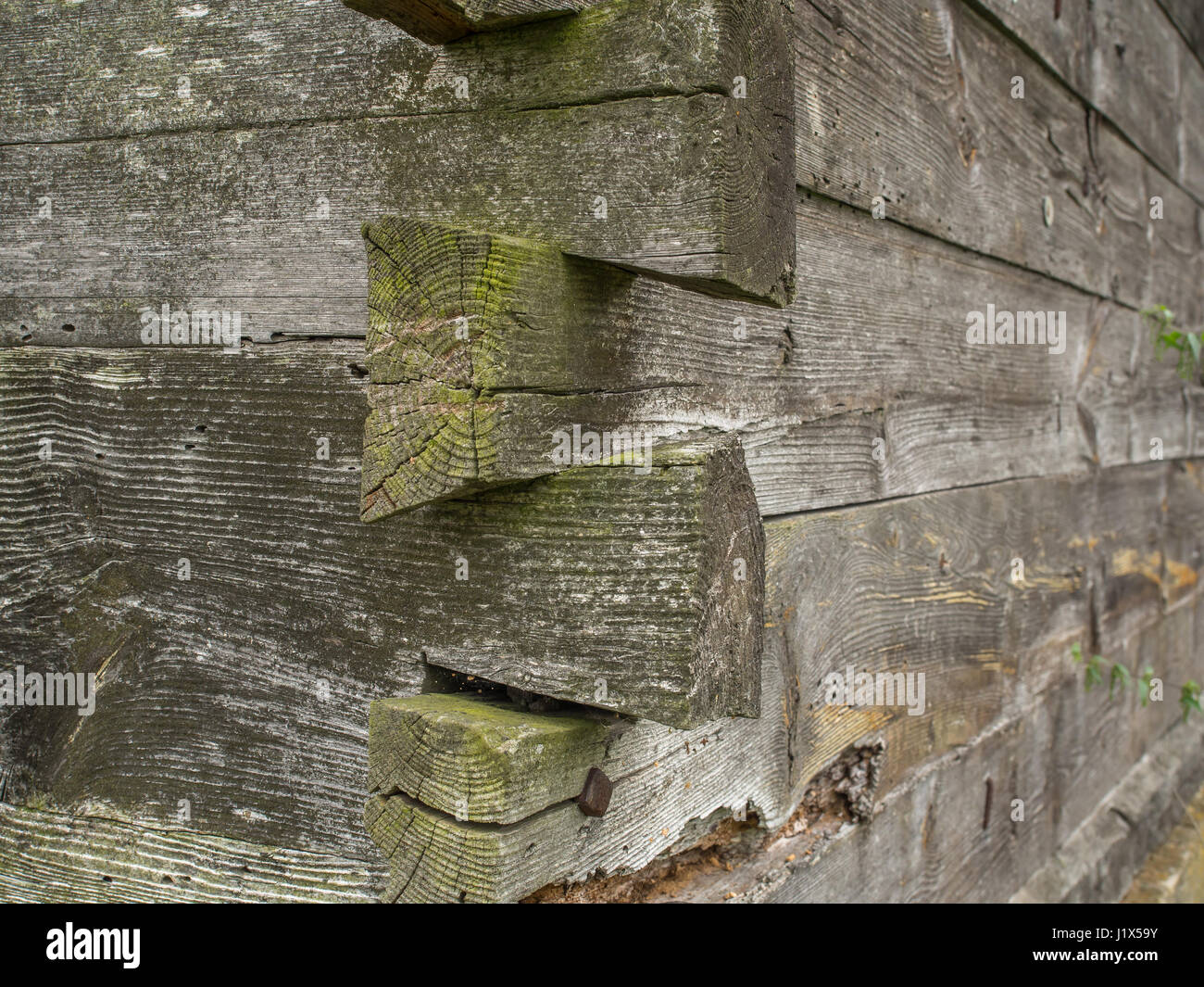 Coin, clou de connexion libre dans les murs en bois Podlasie Banque D'Images