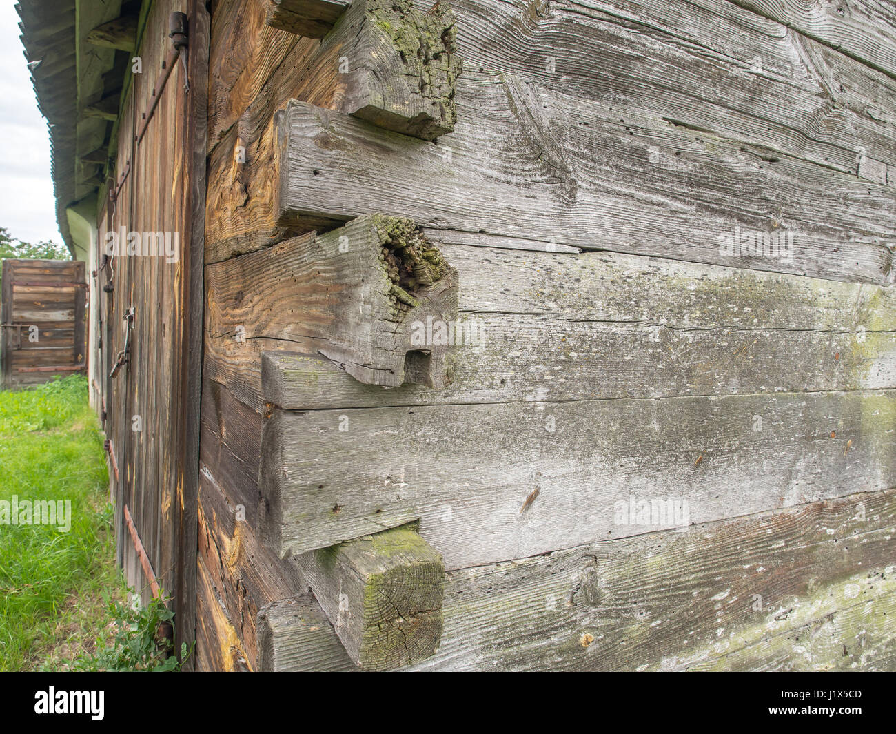 Coin, clou de connexion libre dans les murs en bois Podlasie Banque D'Images