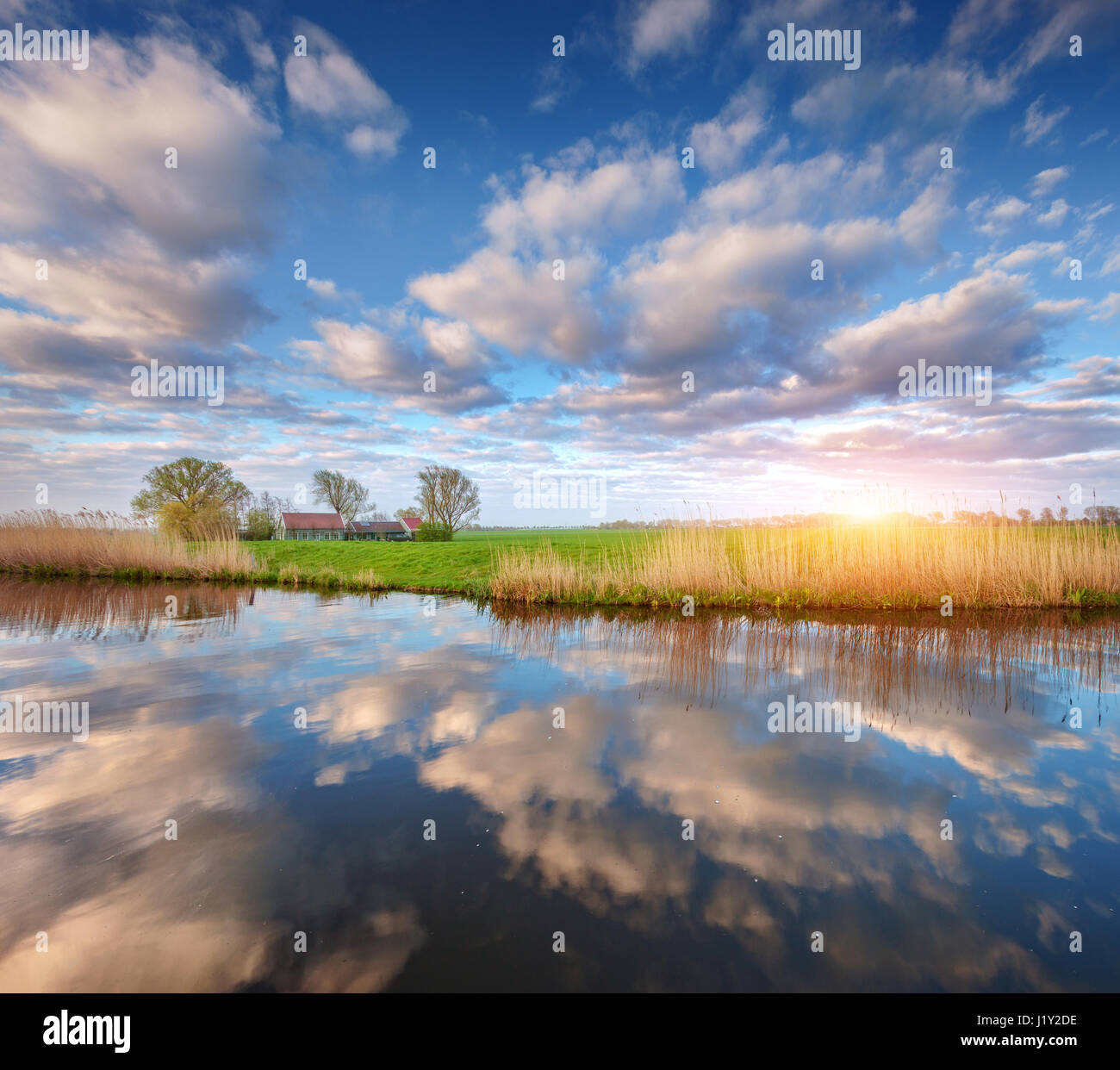 Ciel bleu avec des nuages colorés reflètent dans l'eau, maisons près du canal, arbres, herbe verte et jaune roseaux au lever du soleil en Pays-Bas. Scène étonnante Banque D'Images