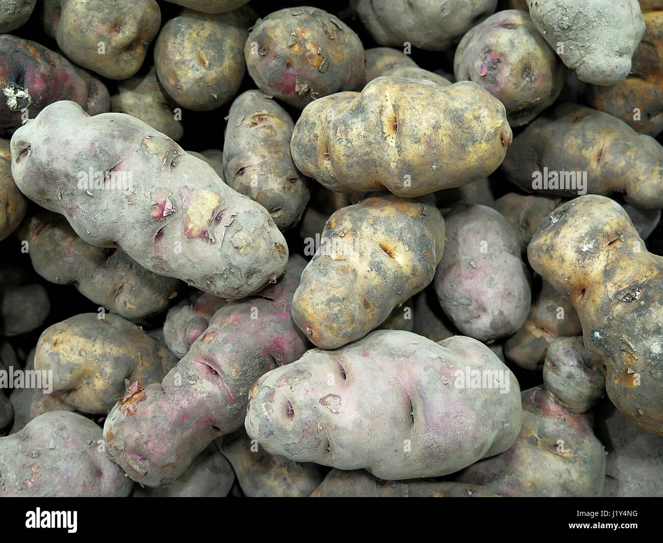 Les pommes de terre sur le marché péruvien Banque D'Images