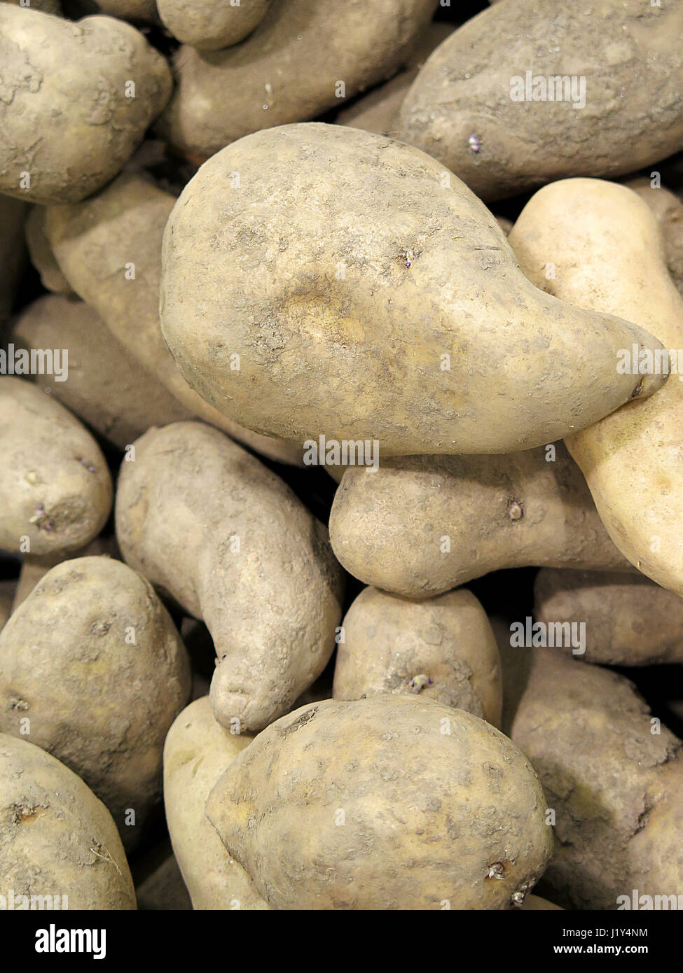 Les pommes de terre sur le marché péruvien Banque D'Images