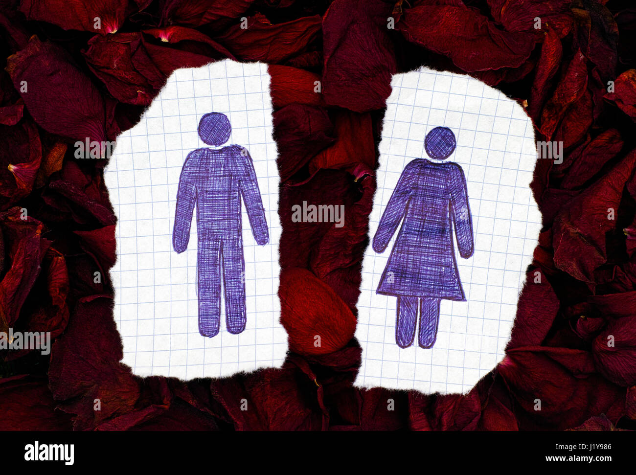 Deux morceaux de papier à la main avec l'homme et de la femme les figures sur les pétales de roses. Doodle style. Banque D'Images