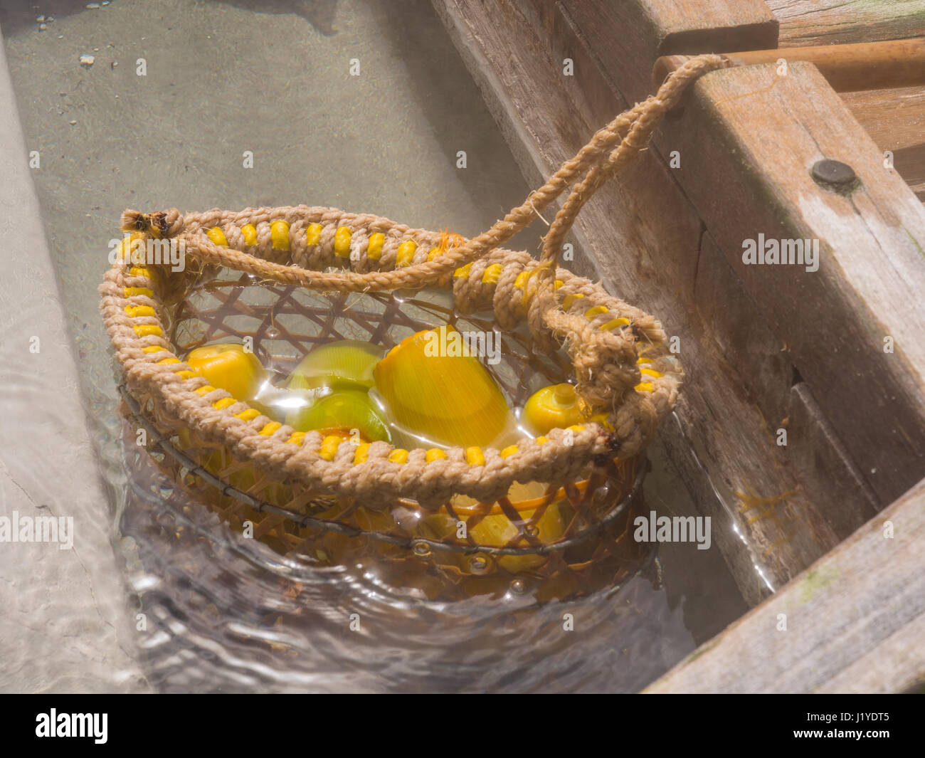 La cuisson des œufs et des légumes dans l'eau de sources thermales de montagne Taiping à Taiwan Banque D'Images