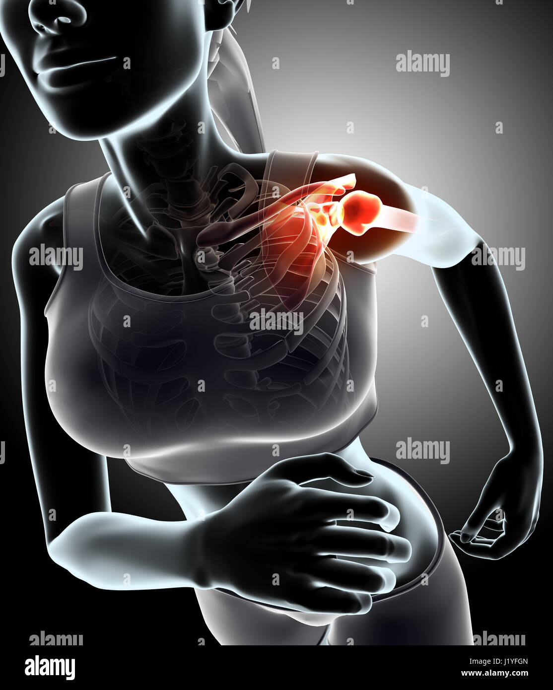 Illustration 3d - femme runing posent avec x-ray et conjointe squelette. Banque D'Images