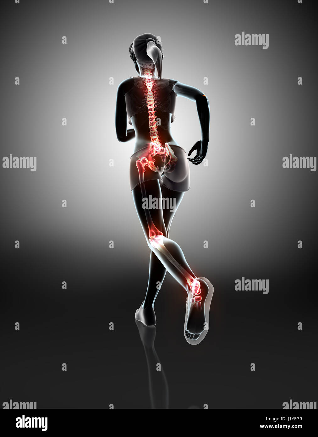 Illustration 3d - femme runing posent avec x-ray et conjointe squelette. Banque D'Images