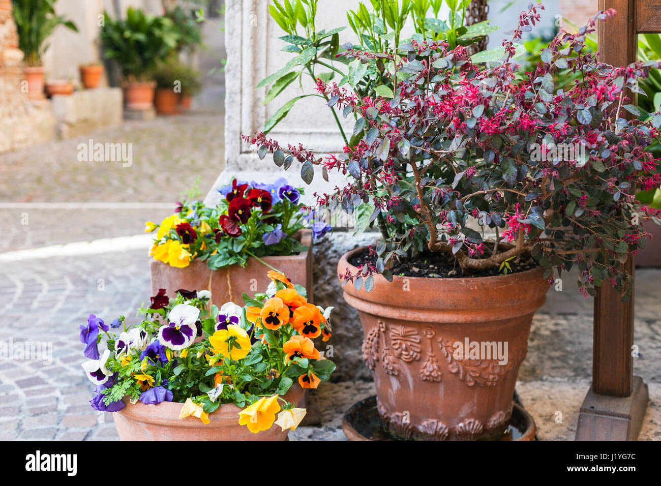 Voyage d'Italie - outdoor flowerpods avec des fleurs fraîches sur rue dans la ville de Vérone au printemps Banque D'Images