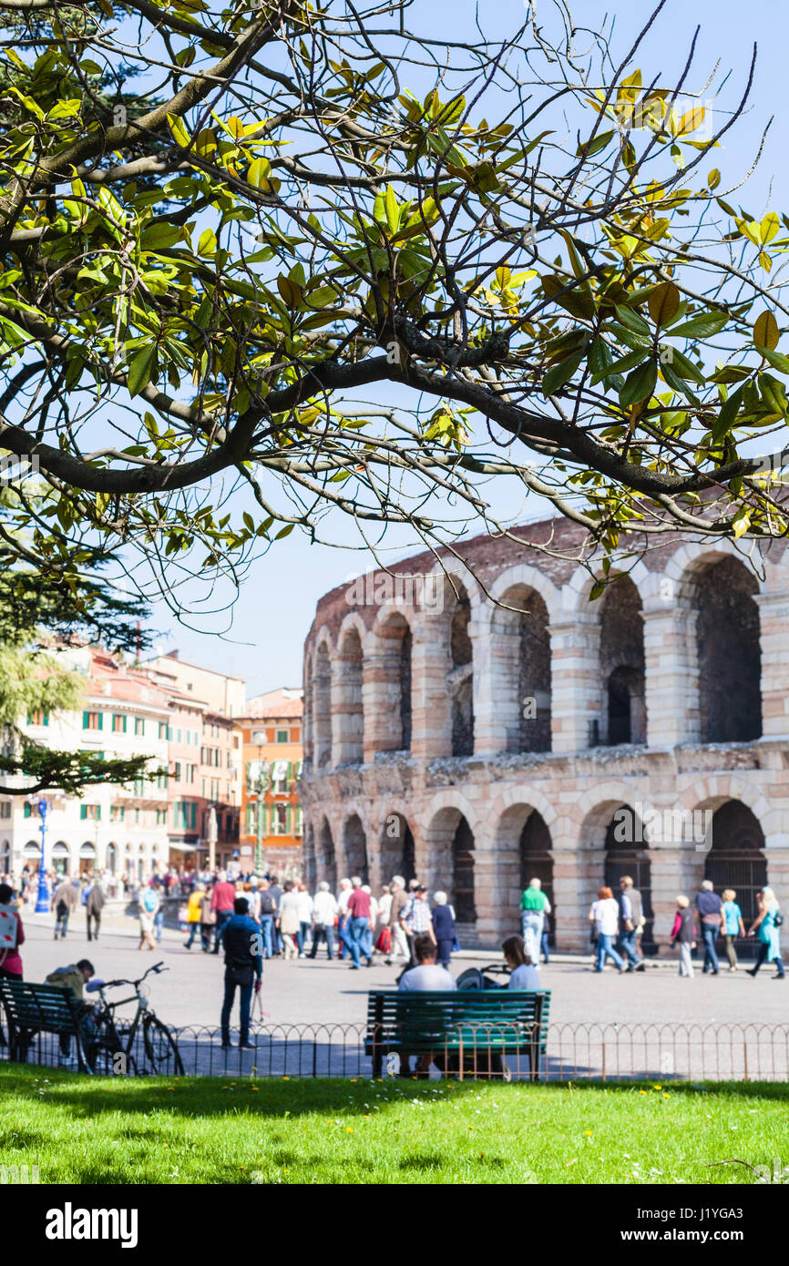Voyage d'Italie - vue de l'arbre vert et la direction générale de l'arène romaine sur l'arrière-plan de jardin sur la Piazza Bra à Vérone au printemps. Banque D'Images