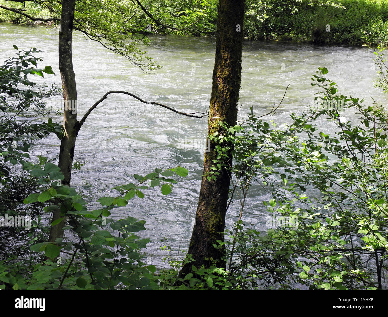 Brod na Kupi,river flux Kupa,Croatie,europe,5 Banque D'Images