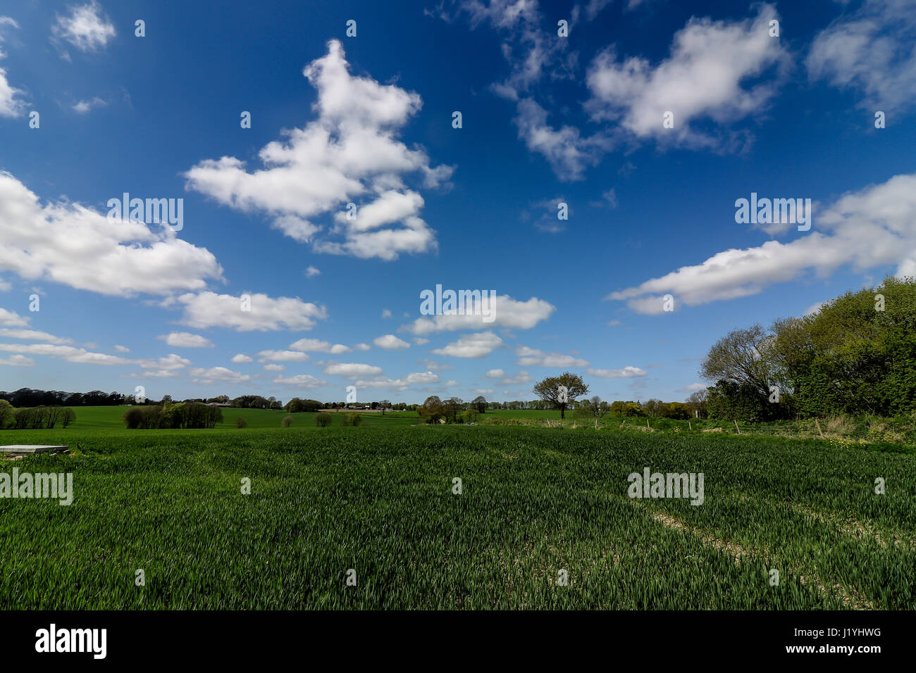 Ashton dans paysages Makerfield avril 2017, montrant les divers champs de l'espace et du ciel sur une journée ensoleillée Banque D'Images