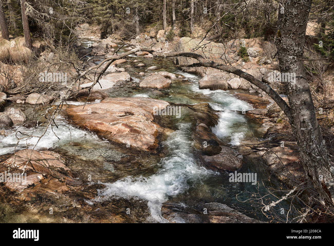 Rivière, eau claire dans la forêt sauvage dans l'emplacement près de Crocette petit village de Macugnaga Banque D'Images