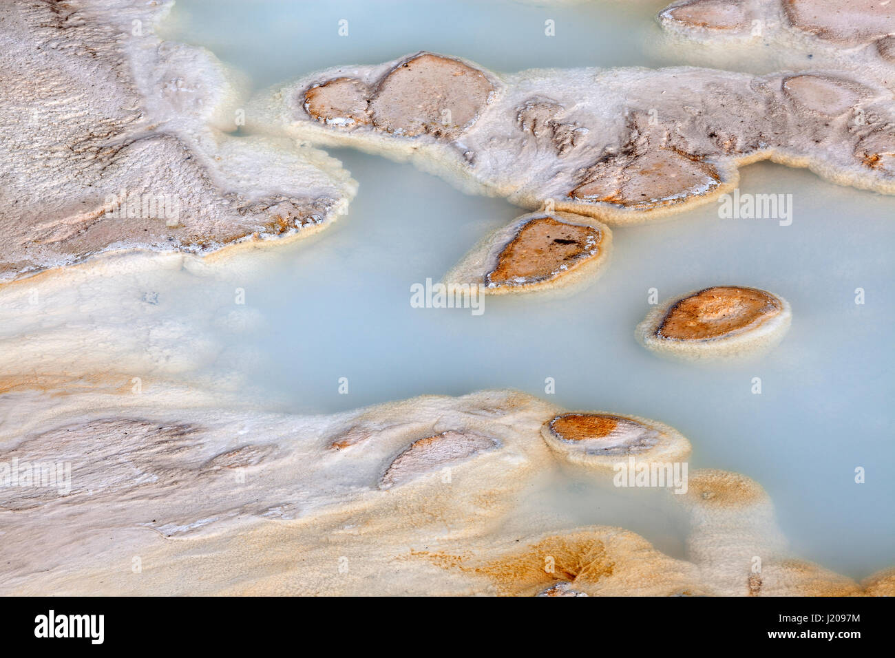 Les dépôts de minéraux dans le bassin en porcelaine, Noris Geyser Basin, Parc National de Yellowstone, Wyoming, USA Banque D'Images