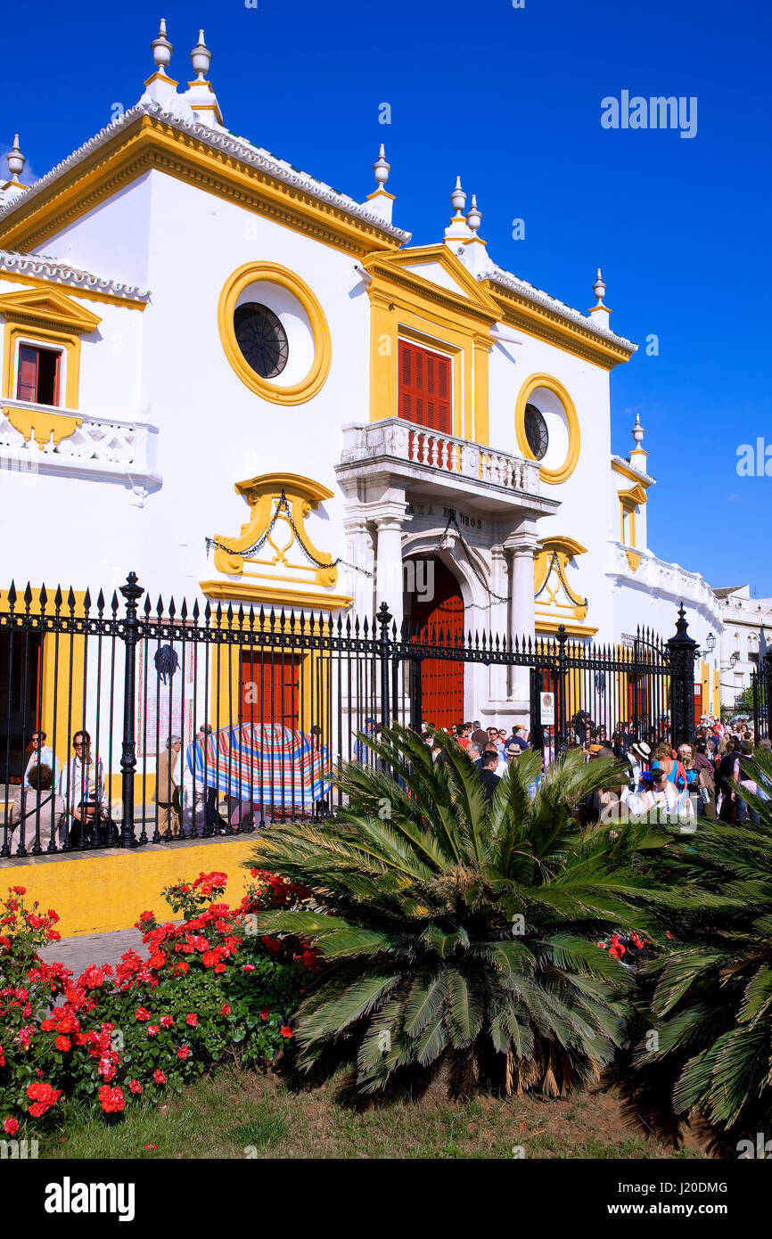 La Maestranza en la Plaza de Toros, Sevilla Banque D'Images