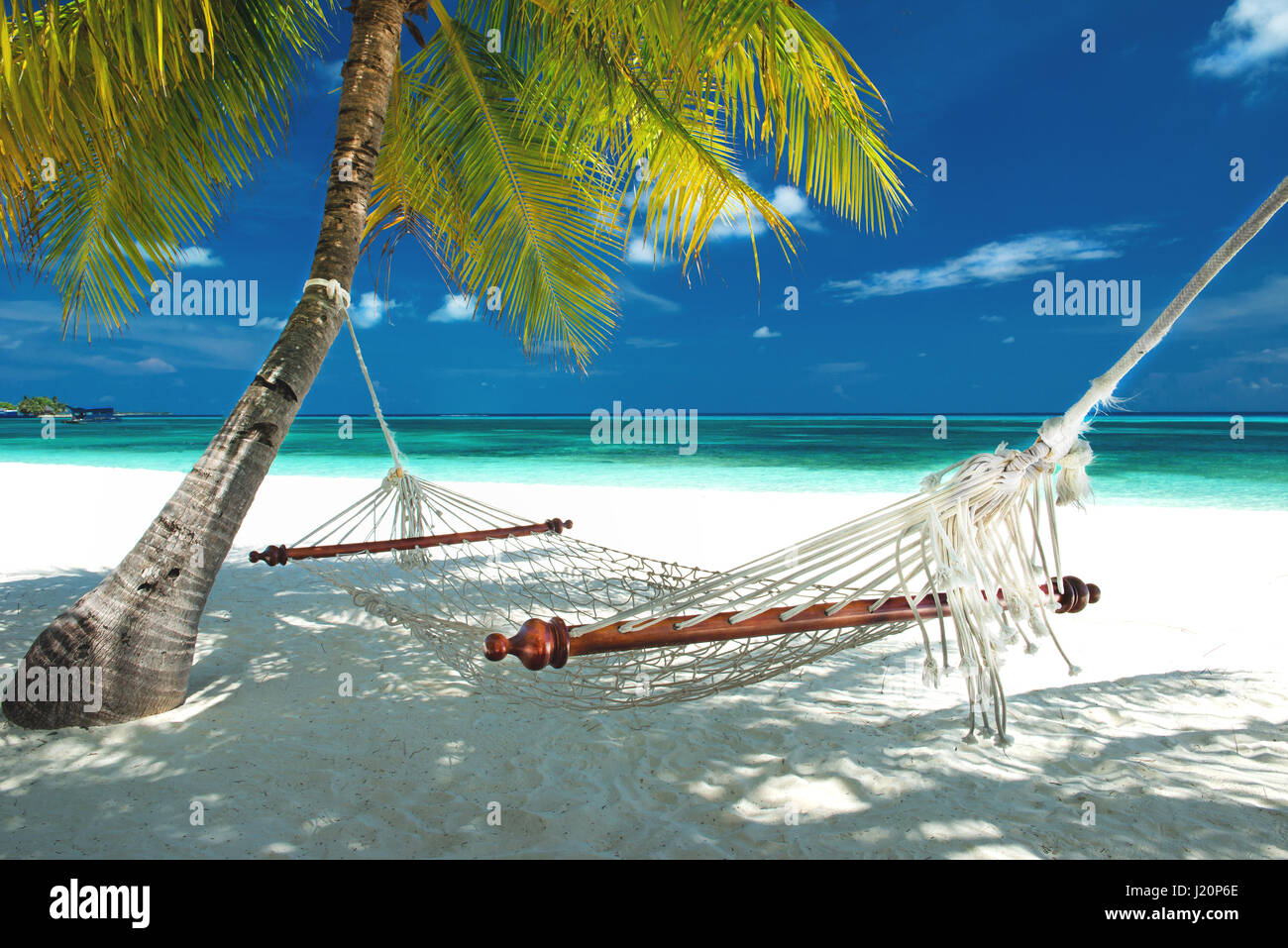 Beach hamac suspendu à un palmier sur les maldives Banque D'Images