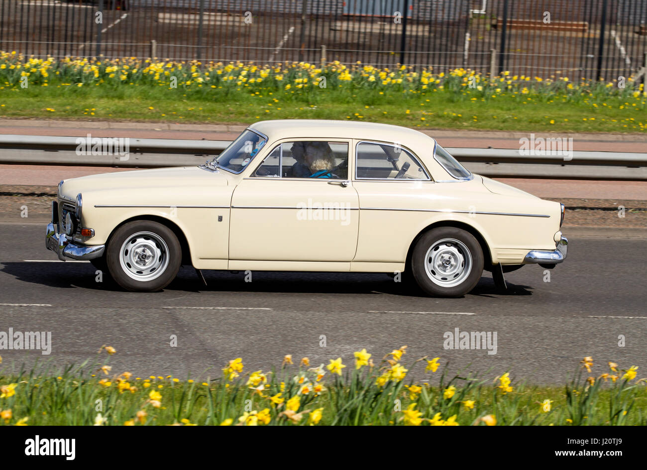 Une couleur crème vintage 1968-1969 Volvo 121 Amazon inscription G sedan voiture roulant le long de la route à l'ouest de Kingsway à Dundee, Royaume-Uni Banque D'Images