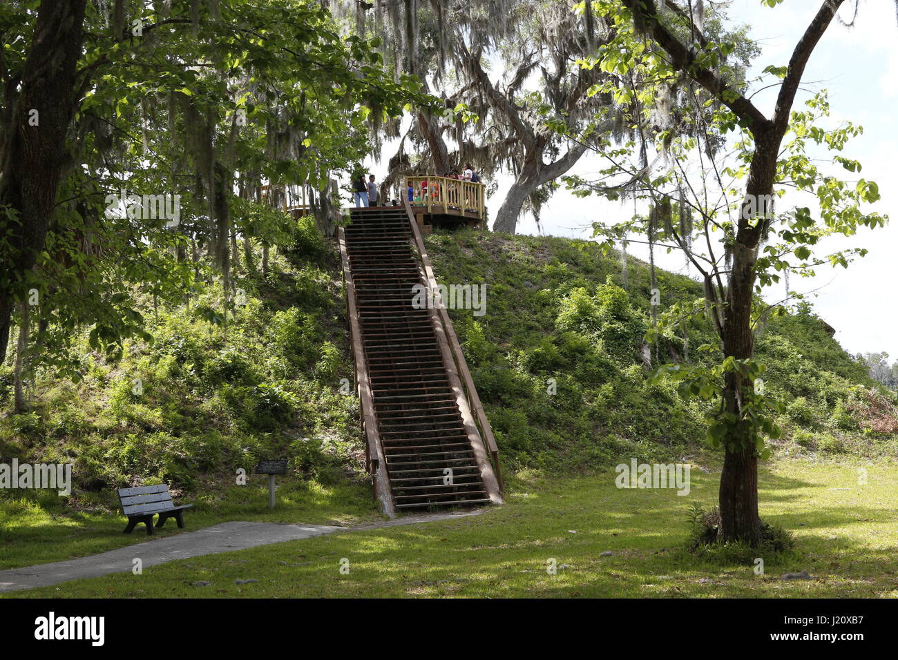 Temple Mound cinq à Crystal River Archaeological State Park Banque D'Images