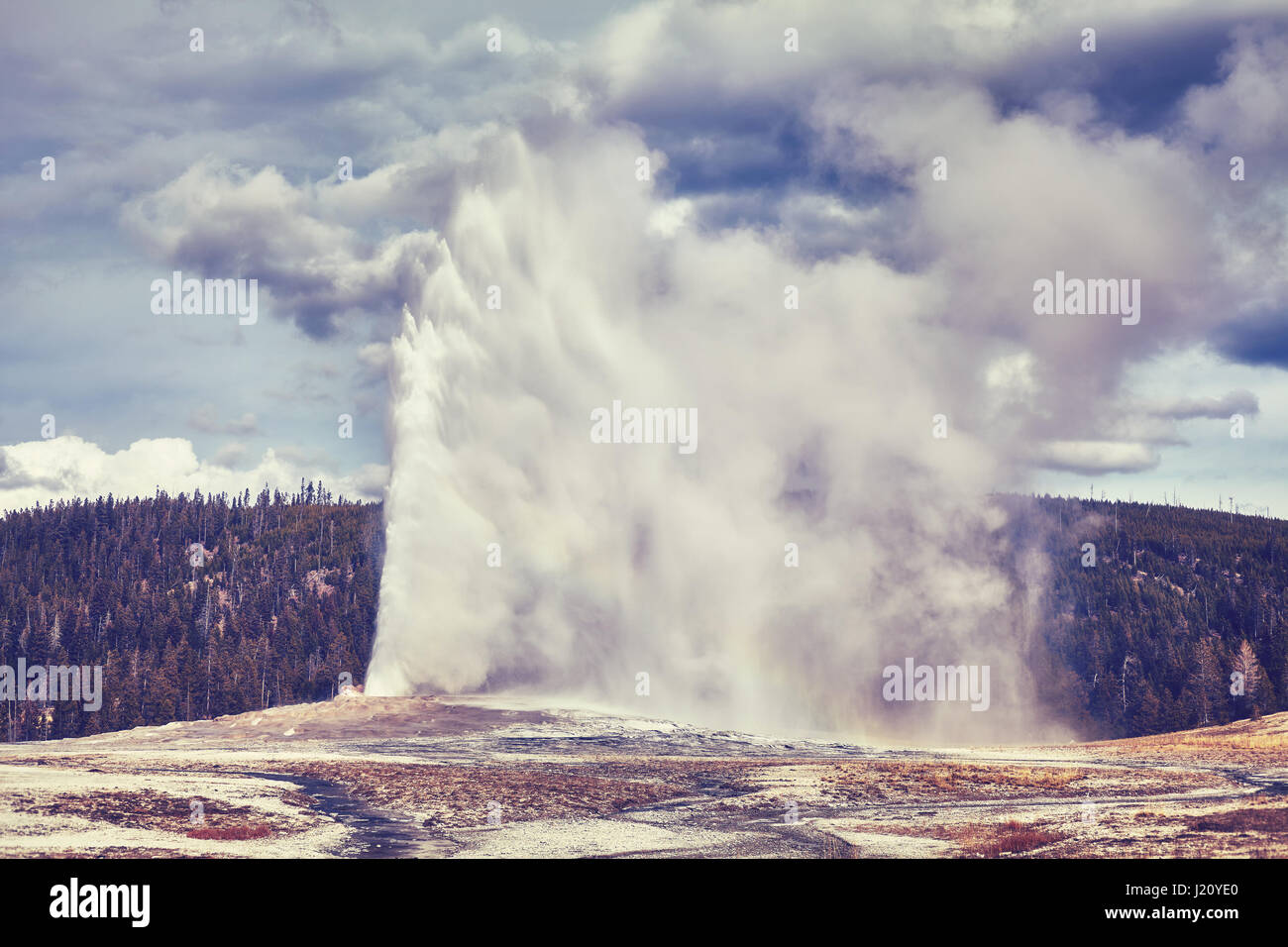 Tons vintage photo de Old Faithful Geyser éruption, le Parc National de Yellowstone, Wyoming, USA. Banque D'Images