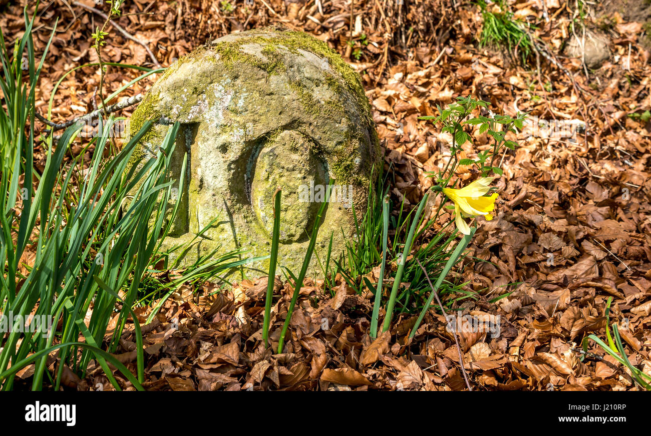 Vieux lichen recouvert de pierre sculptée au bord de la route, numéro 10, jonquilles, narcissi, Penicuik Estate, Midlothian, Écosse, Royaume-Uni Banque D'Images