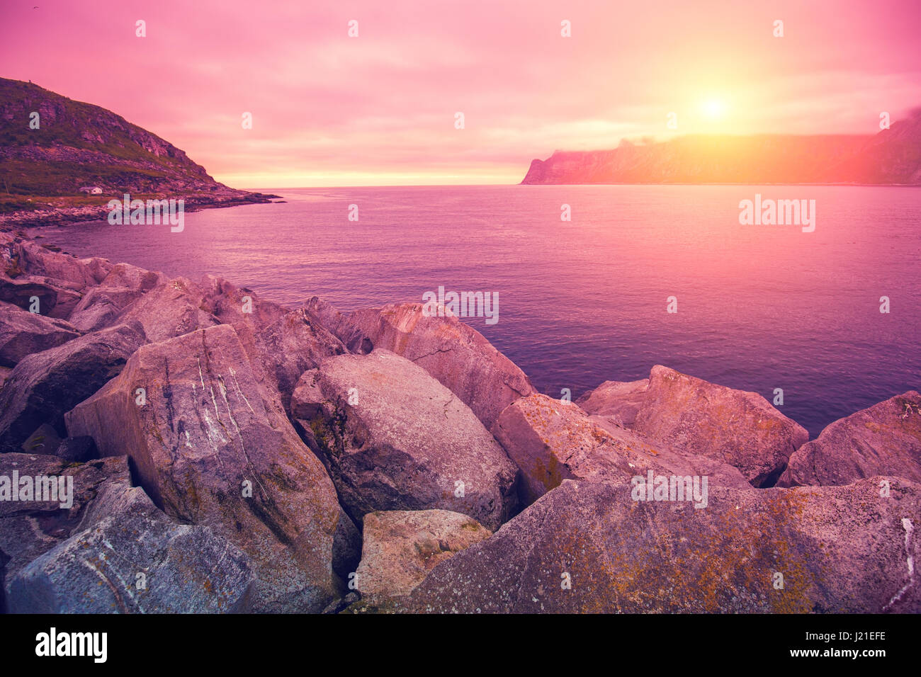 Fjord, plage rocheuse à rose rose coucher de soleil, nature de la Norvège. L'île de Senja. Magnifique baie. Banque D'Images