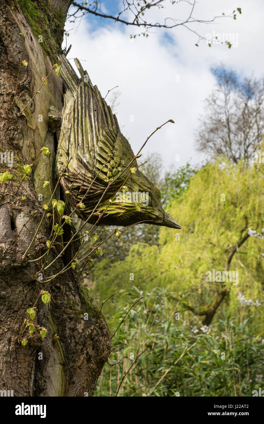 Oiseaux en bois sculpté sur un tronc d'arbre au parc Cheetham, Stalybridge, Greater Manchester, Angleterre. Banque D'Images
