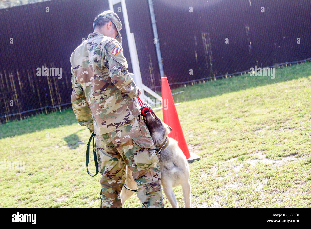 Un maître-chien militaire avec le 550e Détachement de chien de travail militaire, 16e Brigade de police militaire (Airborne), et son chien de travail militaire quotidienne pratique formation d'obéissance le 12 avril 2017 à Fort Bragg, N.C. En parallèle à une remise en forme physique quotidienne du soldat, militaire de formation chiens de travail physique et mentale, la pratique des exercices avec leur soldat affecté chaque jour. (U.S. Photo de l'armée par la FPC. Hubert D. Delany III/22e Détachement des affaires publiques mobiles) Banque D'Images