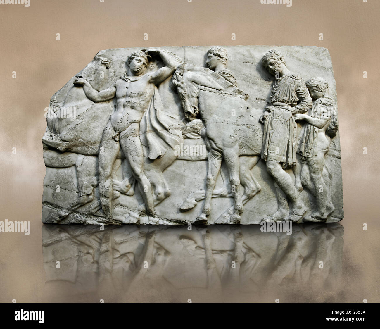 En Releif sculptures du Parthénon de l'acropole d'Athènes. British Museum , , Londres Banque D'Images
