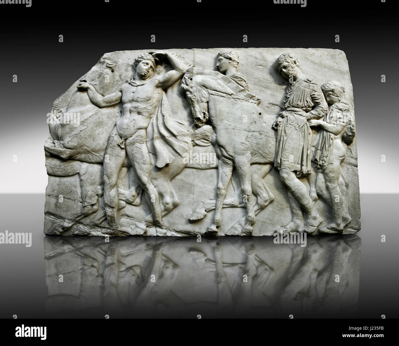 En Releif sculptures du Parthénon de l'acropole d'Athènes. British Museum , , Londres Banque D'Images
