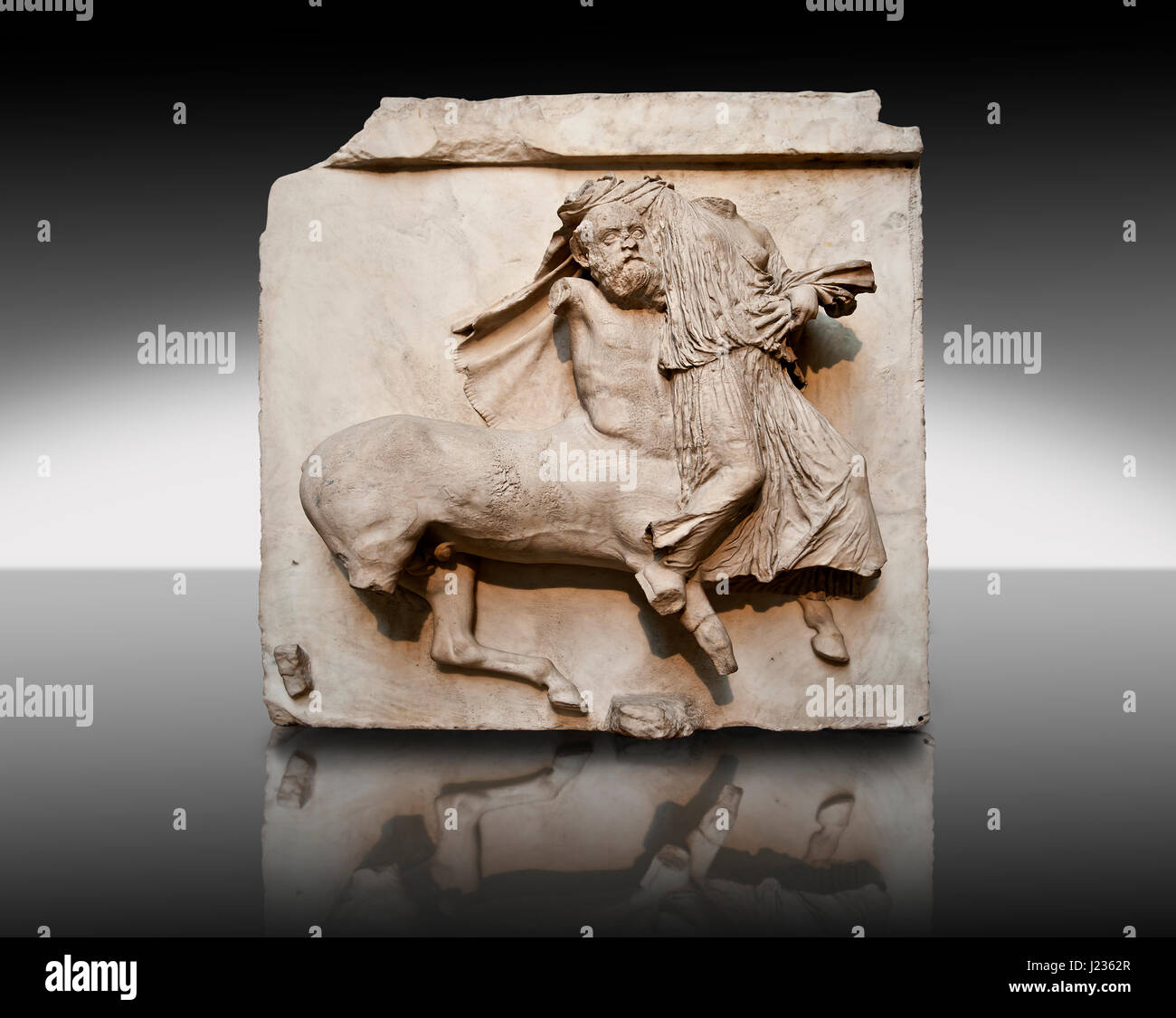 Sculpture de Lapiths Centaures et combattre du Metope du Parthénon sur l'acropole d'Athènes no XXIX. Aussi connu sous le nom de marbres d'Elgin. Brit Banque D'Images