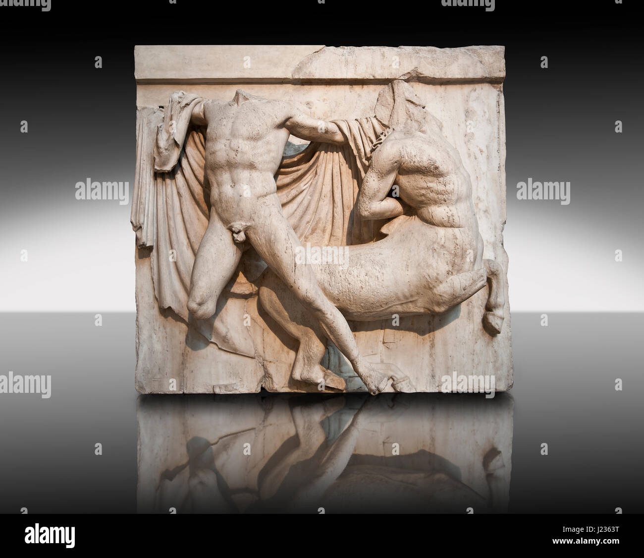 Sculpture de Lapiths Centaures et combattre du Metope du Parthénon sur l'acropole d'Athènes no XXVII. Aussi connu sous le nom de marbres d'Elgin. Bri Banque D'Images