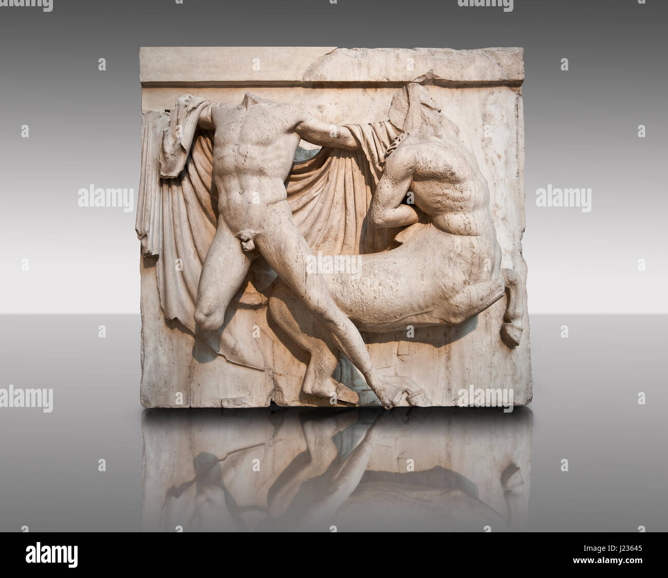 Sculpture de Lapiths Centaures et combattre du Metope du Parthénon sur l'acropole d'Athènes no XXVII. Aussi connu sous le nom de marbres d'Elgin. Bri Banque D'Images